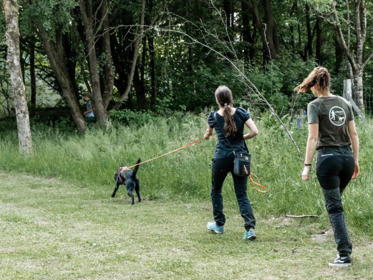 Mantrailing Team bei der Arbeit