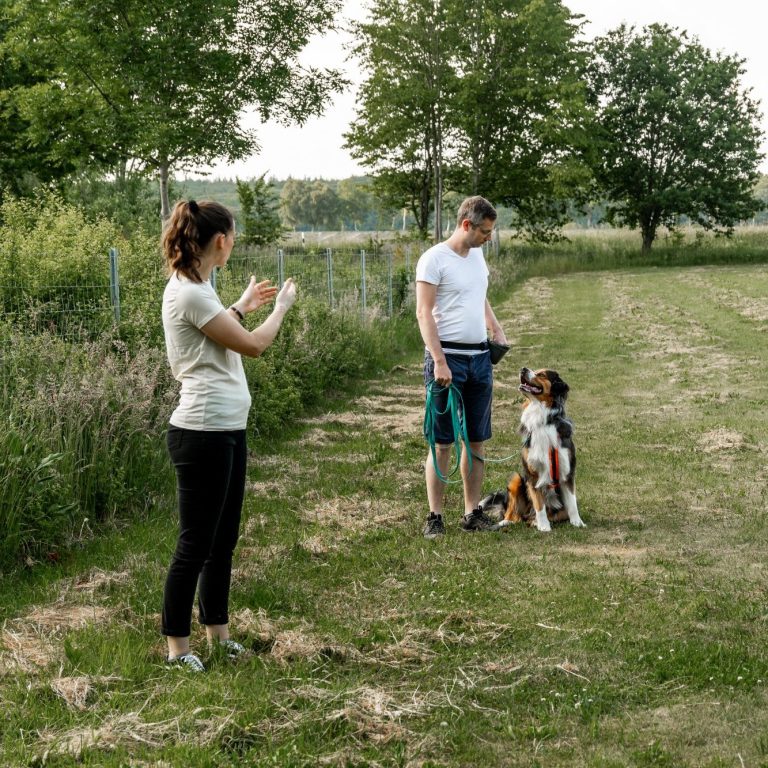 Marina Gabe im Einzeltraining mit einem Hund-Mensch-Team